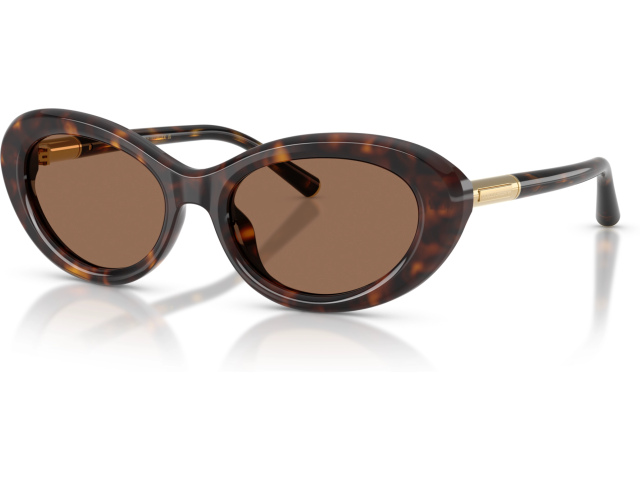 Dolce & Gabbana DG4519 502/73 Tortoise