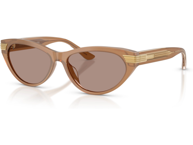 Ferrari FH2020U 755/4Q Brown