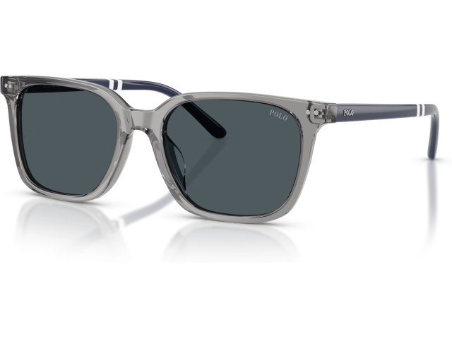 Polo PH4235U 631887 Grey