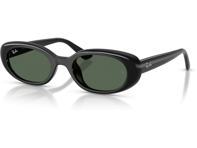 Ray-Ban RB4441D 667771 Black
