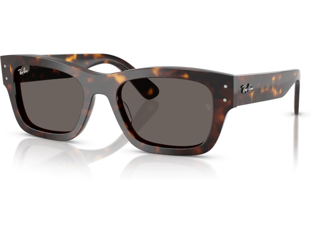 Ray-Ban JOSEPH RB7683S 902/B1 Tortoise