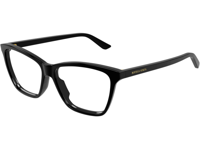 Bottega Veneta BV1421O-001 55 ������