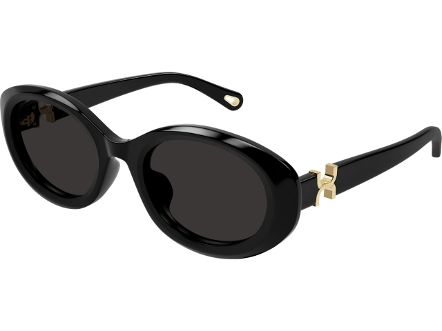 Chloe CH0323SK-001 54 ���� ��������������