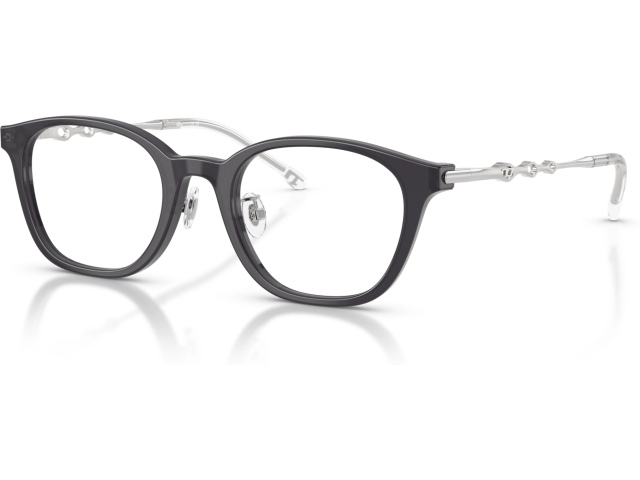 Diesel DL4013D 2027 Violet