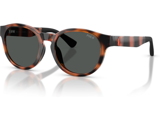 Polo PP9512U 597487 Tortoise