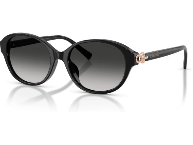 Tiffany TF4263D 80013C Black