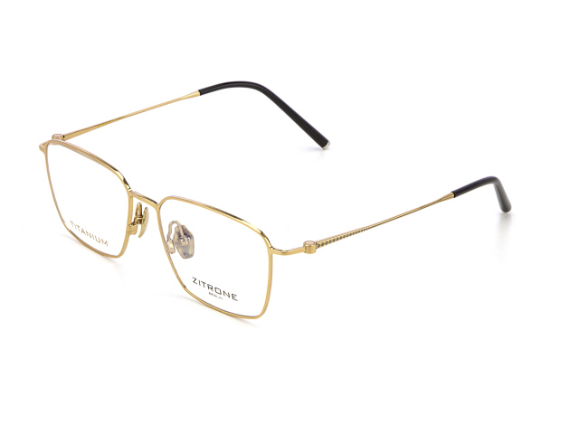 Zitrone ZN 11-134 01T