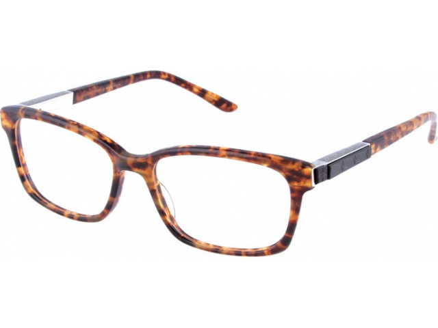 Leisure Society Columbia TORT
