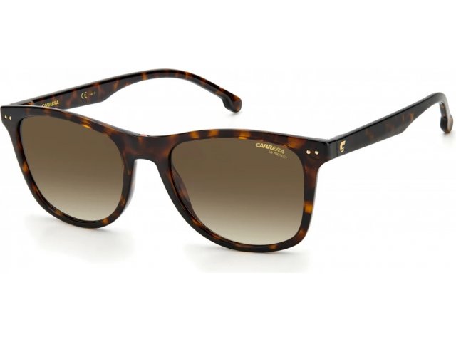 CARRERA 2022T/S 086,  BROWN SF