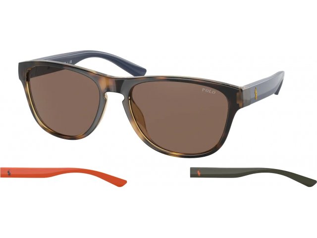 Polo PH4180U 500373 Shiny Havana