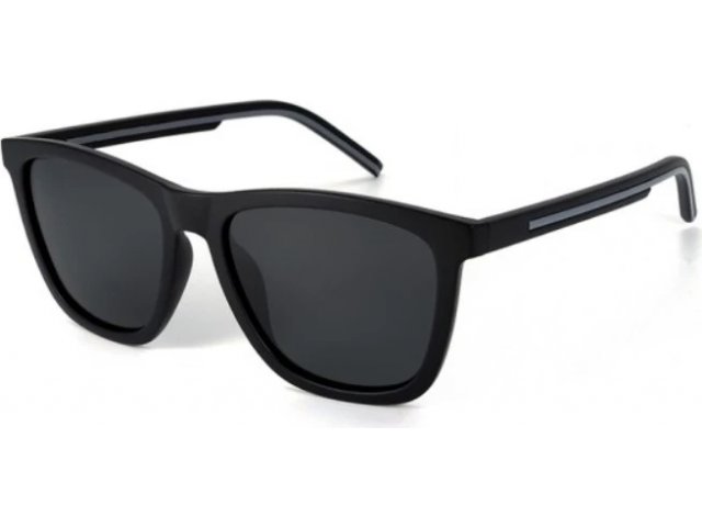 CALANDO PL491 C1,  MATTE BLACK, SMOKE