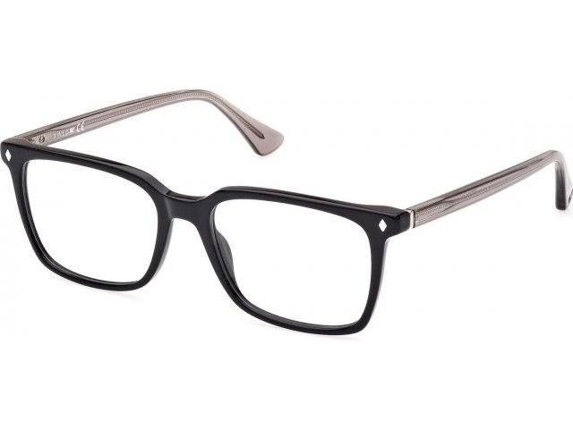 Web Eyewear WE 5401 001 54