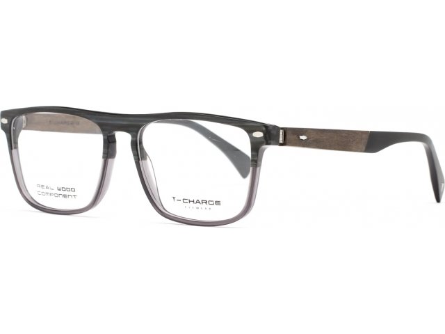 T-Charge T6273 C03