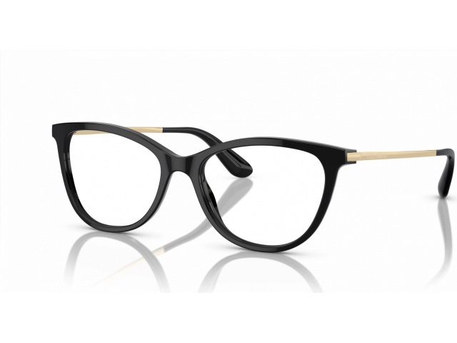 Dolce & Gabbana DG3258 501