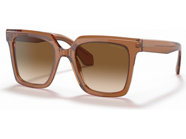 Giorgio Armani AR8156 593251 Transparent Brown