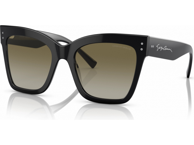 Giorgio Armani AR8175 50018E Black