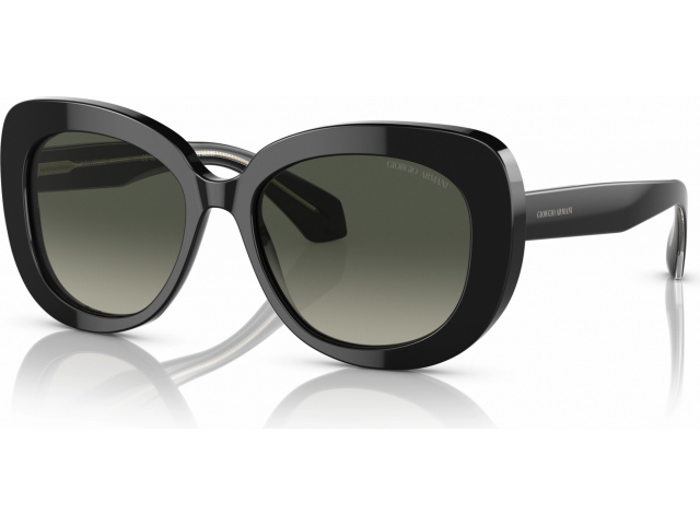 Giorgio Armani AR8168 587571 Black
