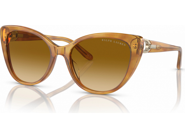 Ralph Lauren RL8215BU 60832L Tortoise