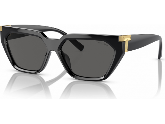Tiffany TF4205U 8001S4 Black
