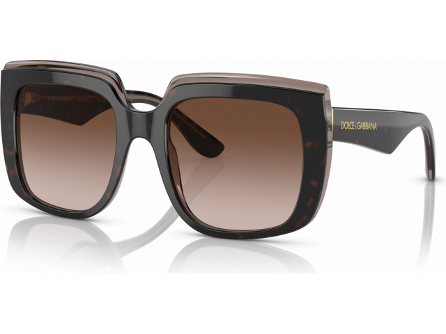 Dolce & Gabbana DG4414 502/13 Havana On Transparent Brown