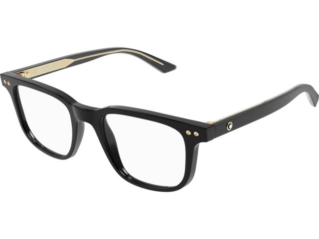 Montblanc MB0256O-005 53