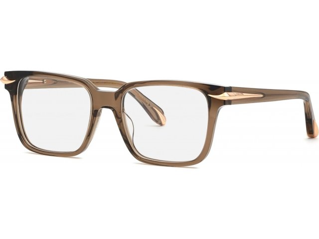 ROBERTO CAVALLI VRC019M ALV,  shiny transp.dove grey, clear
