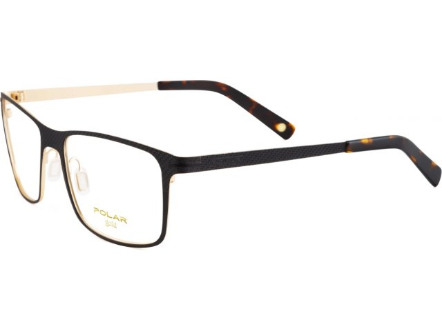 Polar model Gold 200 col. 78