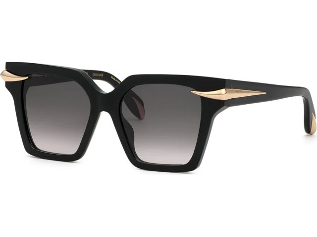 ROBERTO CAVALLI SRC002M 700,  shiny black, smoke gradient
