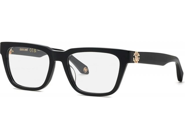 ROBERTO CAVALLI VRC026M 700,  shiny black, clear