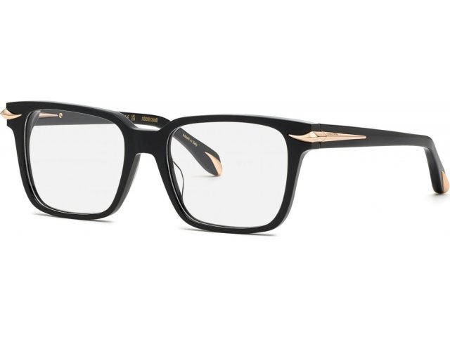 ROBERTO CAVALLI VRC019M 700,  shiny black, clear