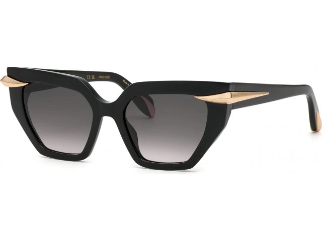 ROBERTO CAVALLI SRC001M 700,  shiny black, smoke gradient