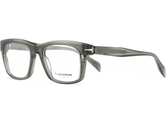T-Charge T6289 T01