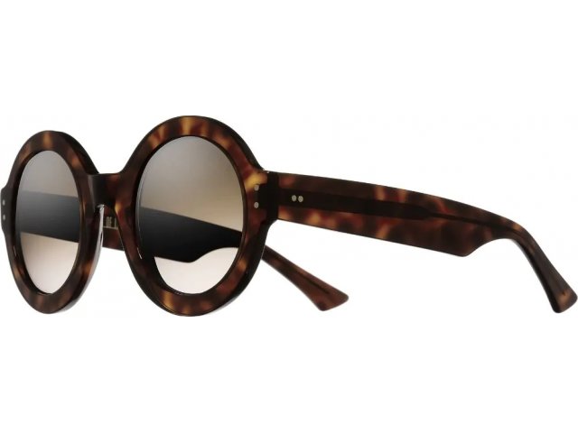 CUTLER GROSS 1377 02,  HAVANA, BROWN