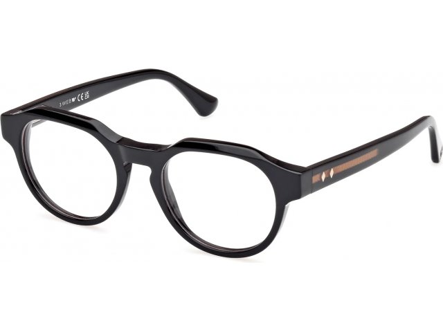 Web Eyewear WE 5421 001 49