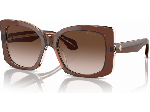 Giorgio Armani AR8208U 609013 Brown