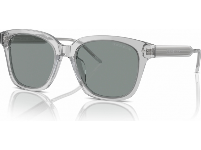 Giorgio Armani AR8210U 608056 Grey