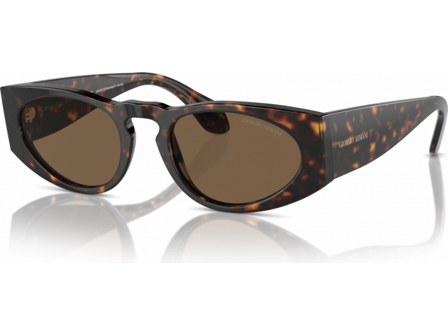 Giorgio Armani AR8216 612473 Tortoise