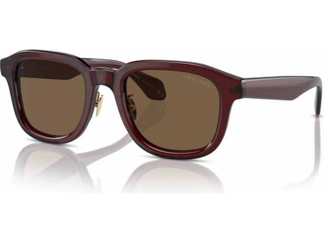 Giorgio Armani AR8206 606273 Brown