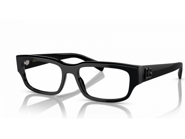 Dolce & Gabbana DG3381 501 Black