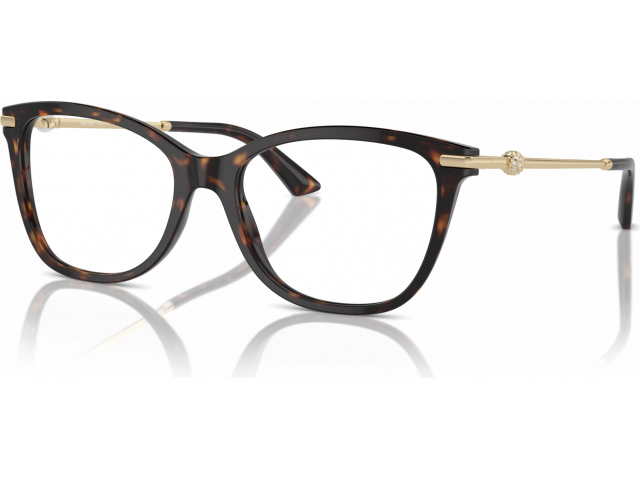 Jimmy Choo JC3007HB 5002 Tortoise