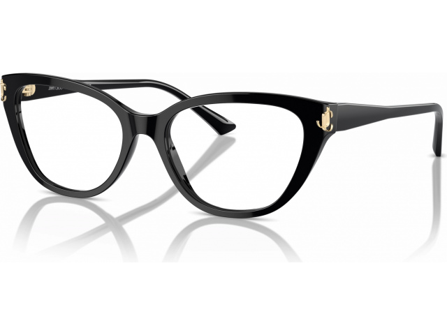 Jimmy Choo JC3011 5000 Black