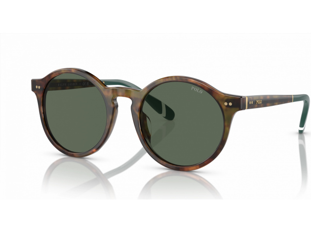 Polo Ralph Lauren PH4204U 501771 Tortoise