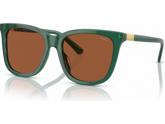 Polo Ralph Lauren PH4201U 619573 Green