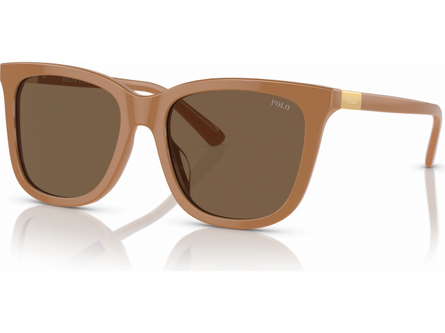 Polo Ralph Lauren PH4201U 619673 Brown