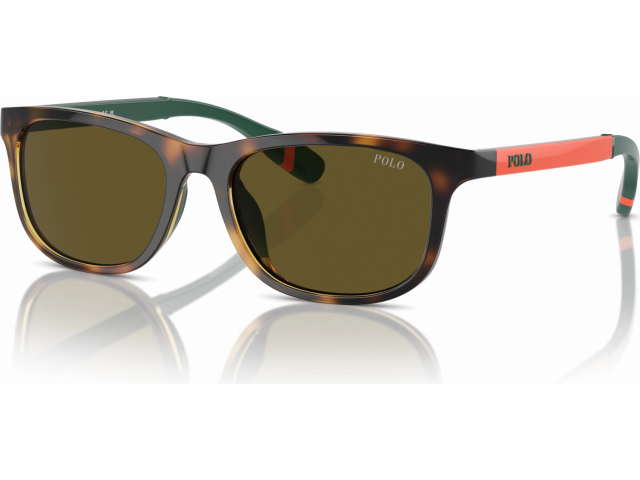 Polo Ralph Lauren PP9507U 500373 Tortoise