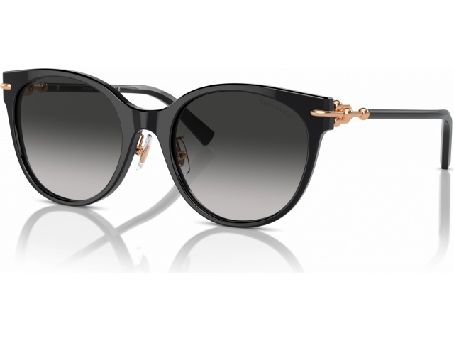 Tiffany TF4223D 80013C Black