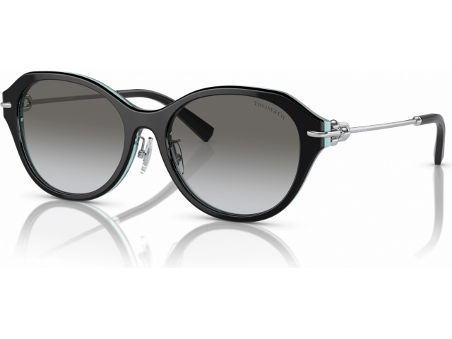 Tiffany TF4210D 82853C Black