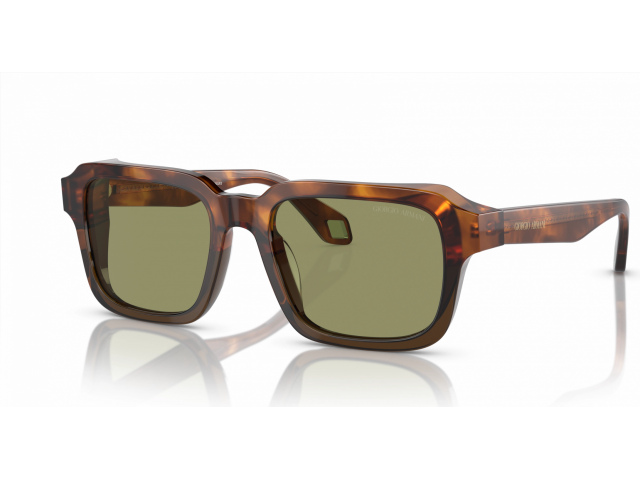 Giorgio Armani AR8194U 598814 Tortoise
