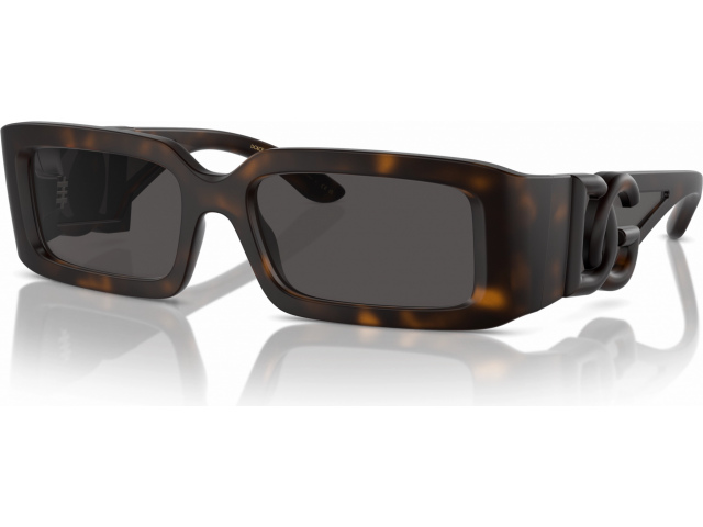 Dolce & Gabbana DG6197 193587 Havana