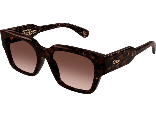 Chloe CH0190S-002 54  